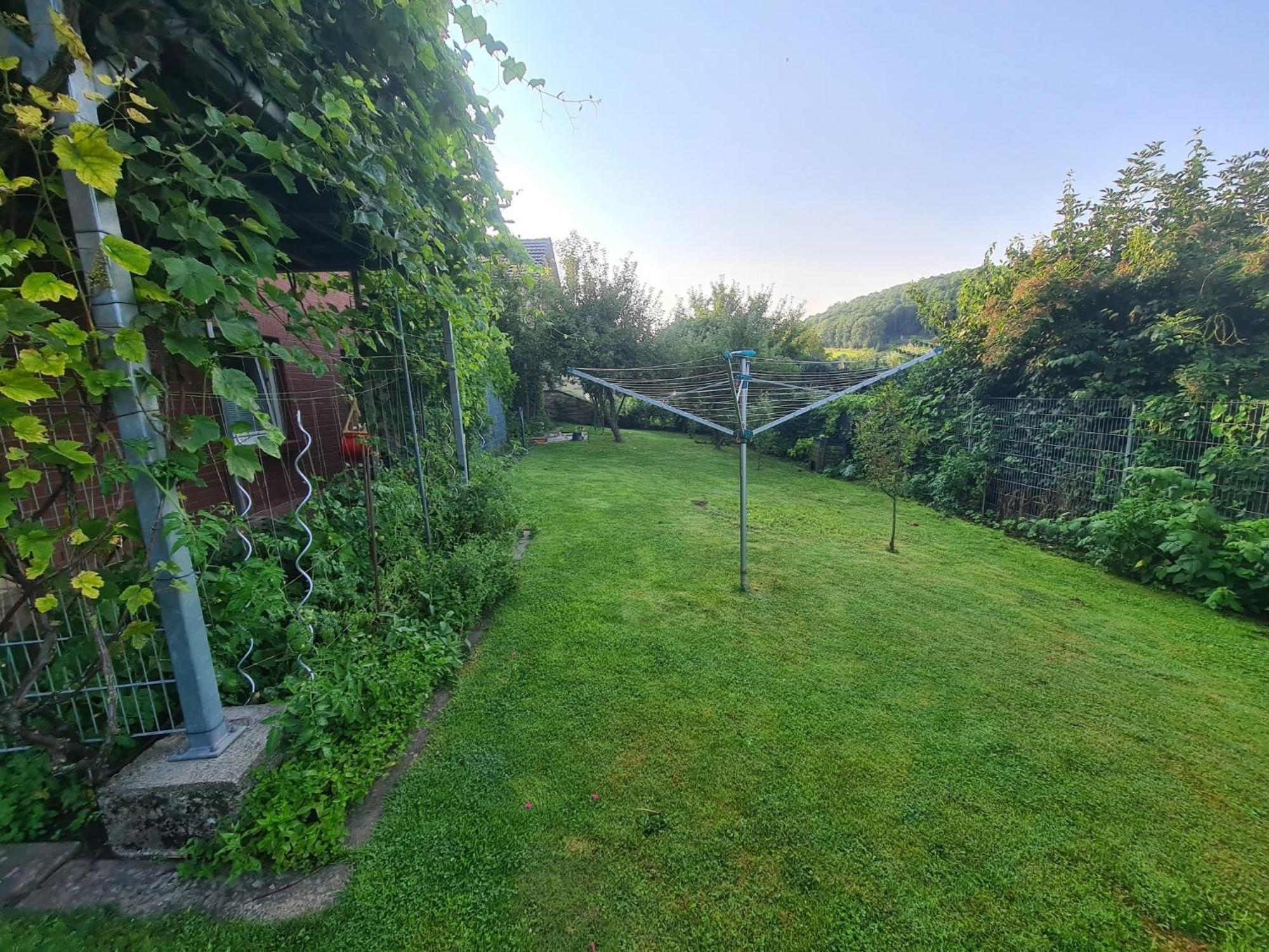 Suedharzperle Apartment Bad Lauterberg Exterior photo