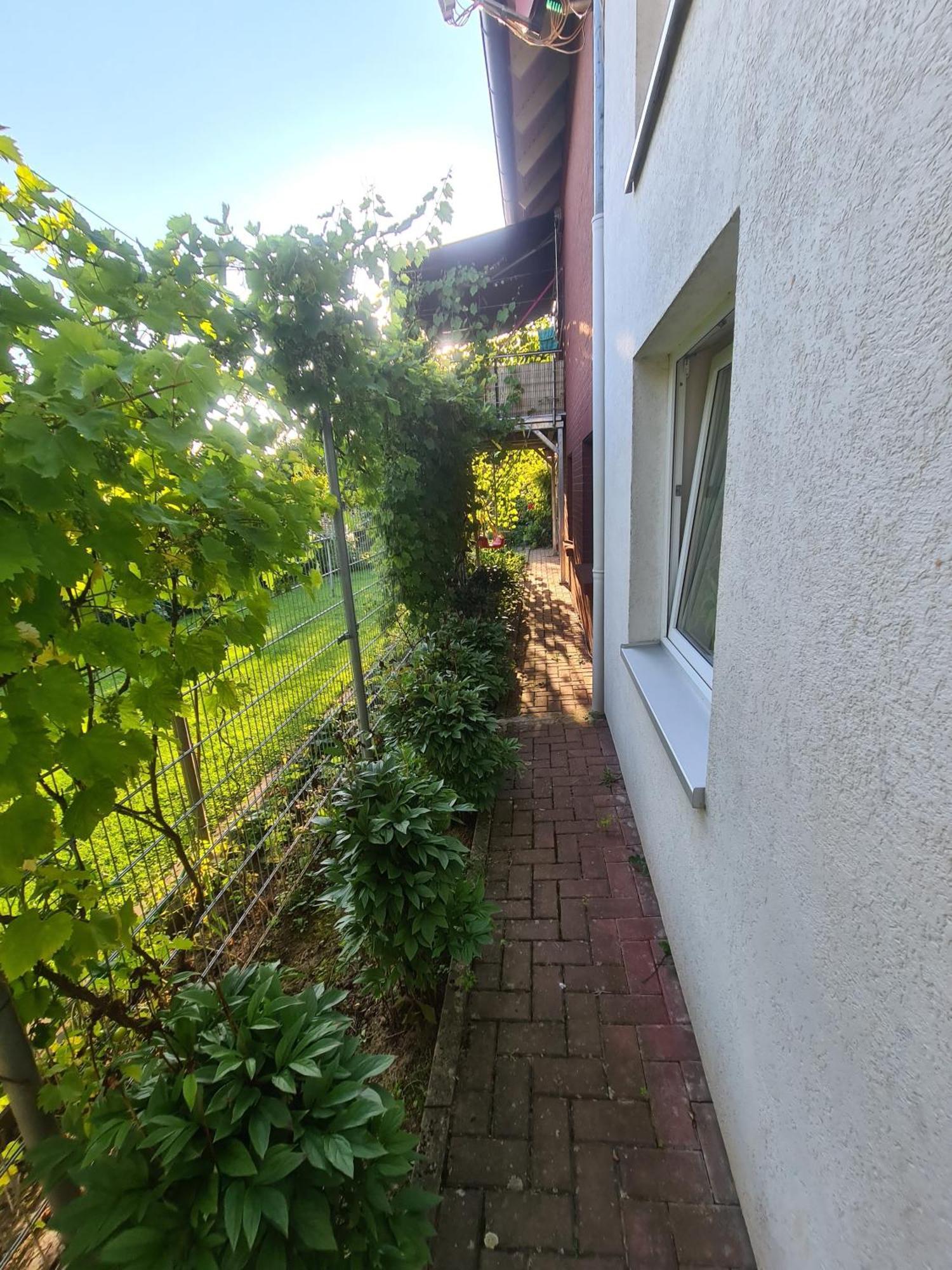 Suedharzperle Apartment Bad Lauterberg Exterior photo
